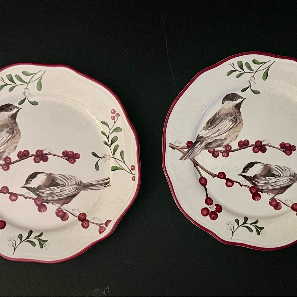 Better Homes And Gardens 2011 Holiday collection salad plates